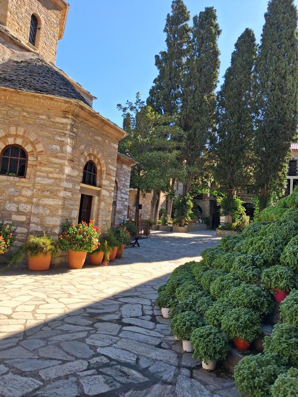 User generated review image 2