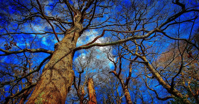 User generated review image 3