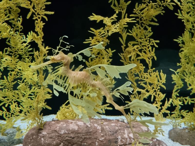 User generated review image 3