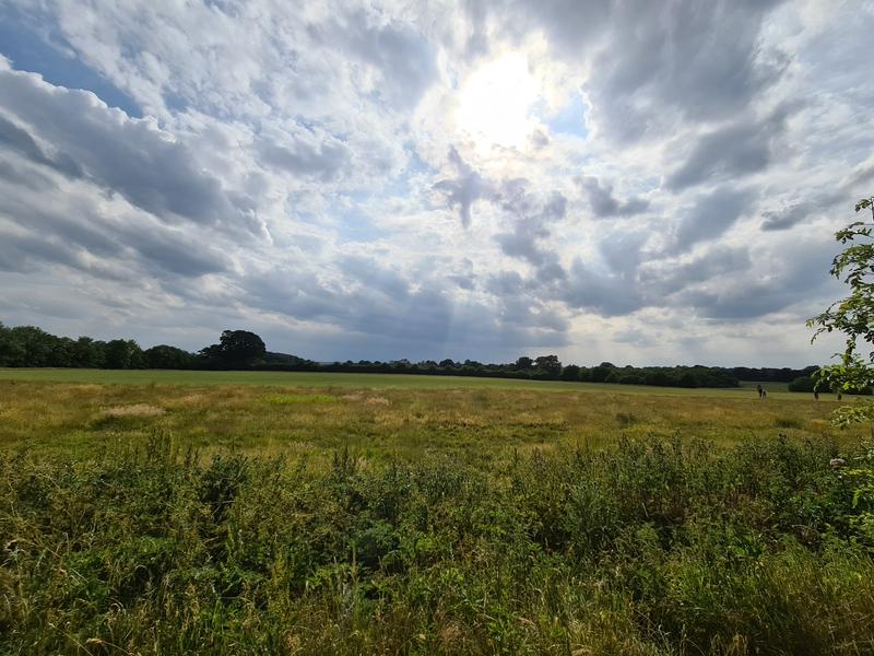 User generated review image 2