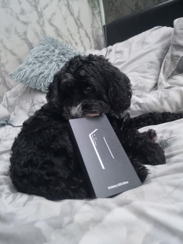 User generated review image 3