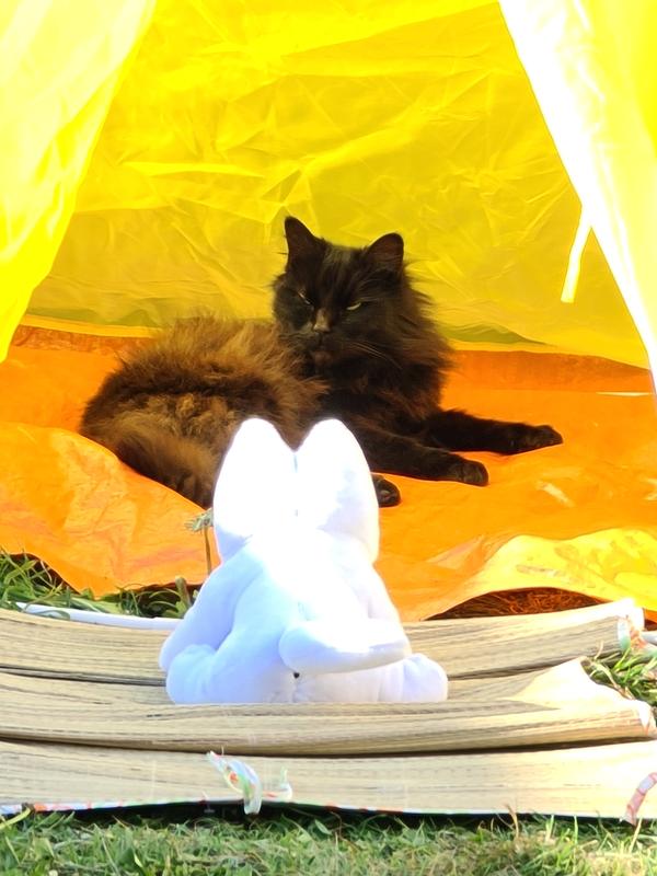 User generated review image 2