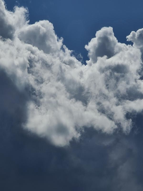 User generated review image 3