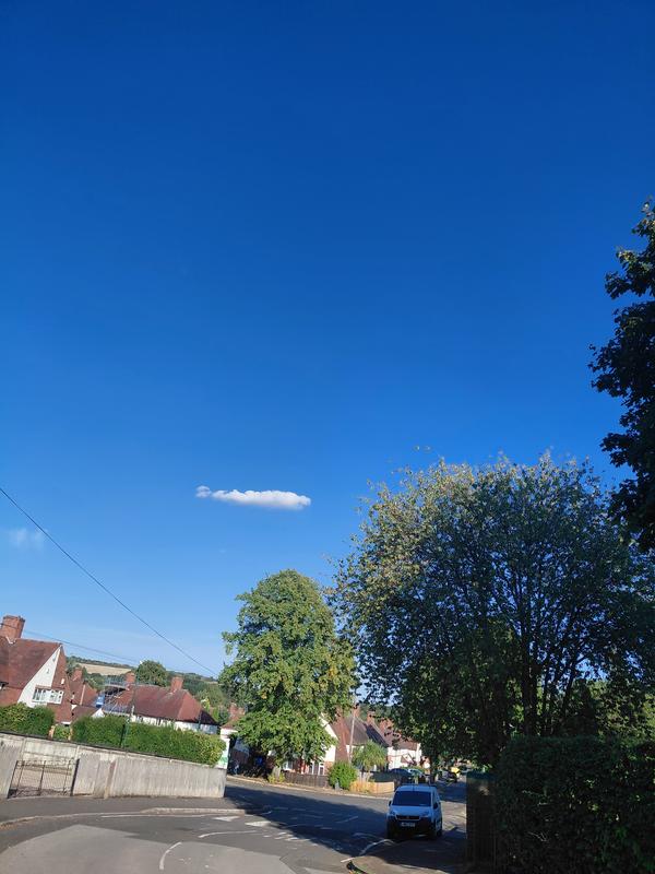 User generated review image 1