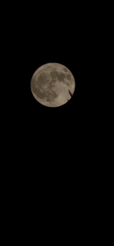 User generated review image 2