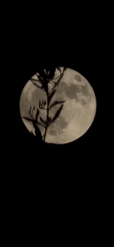 User generated review image 3