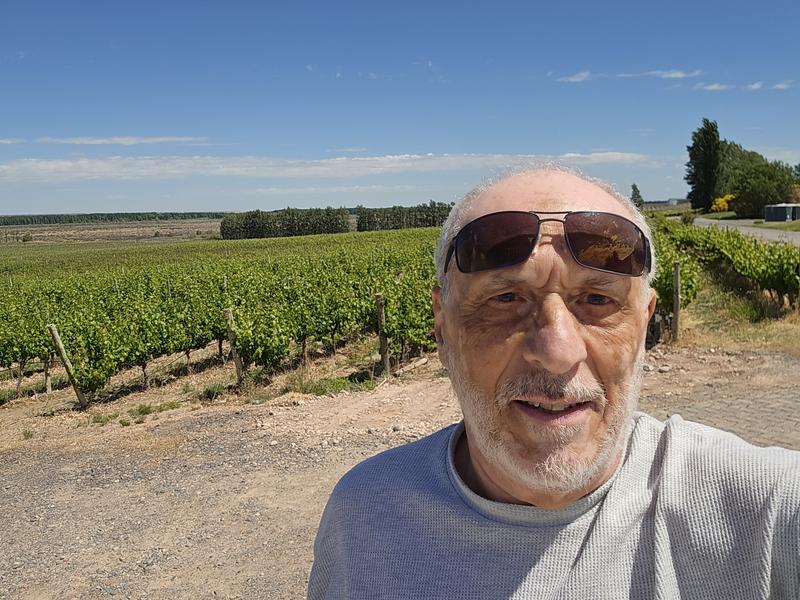 Revisione aperta modale 1 su 2