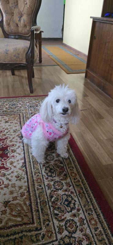 Revisione aperta modale 1 su 5