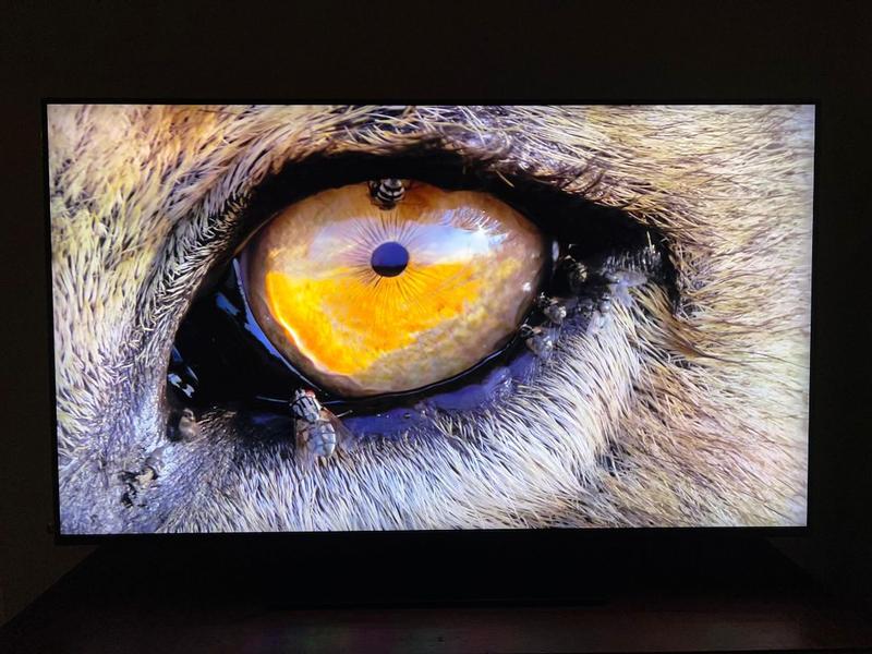 65" Neo QLED QN90F 4K Vision AI Smart TV Nero