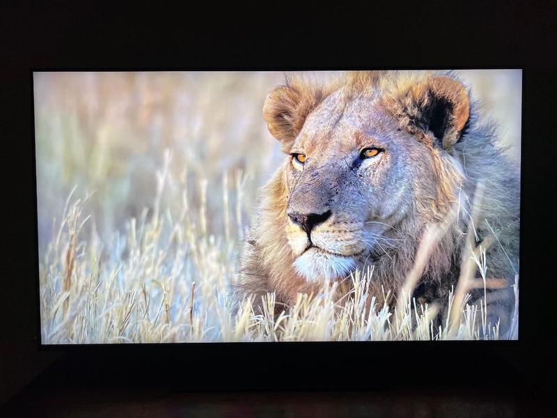 65" Neo QLED QN90F 4K Vision AI Smart TV Nero