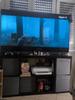 Neo QLED 4K 65" QN85B TV 2022