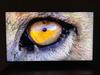 65" Neo QLED QN90F 4K Vision AI Smart TV Nero