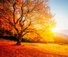 https://photos-eu.bazaarvoice.com/photo/2/cGhvdG86c2Ftc3VuZy1ubF9iZQ/1b17e37c-8c02-5c9e-b7a4-3647fc3b2d4c