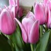 https://photos-eu.bazaarvoice.com/photo/2/cGhvdG86c2Ftc3VuZy1ubF9ubA/000bb3cb-f713-5bff-bd02-9753a0d9b7d1