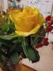 https://photos-eu.bazaarvoice.com/photo/2/cGhvdG86c2Ftc3VuZy1ubF9ubA/f365c8a8-8306-51e0-875e-2dc341262b50