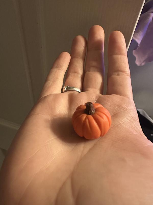 Review Thumbnail Image 2 367630802