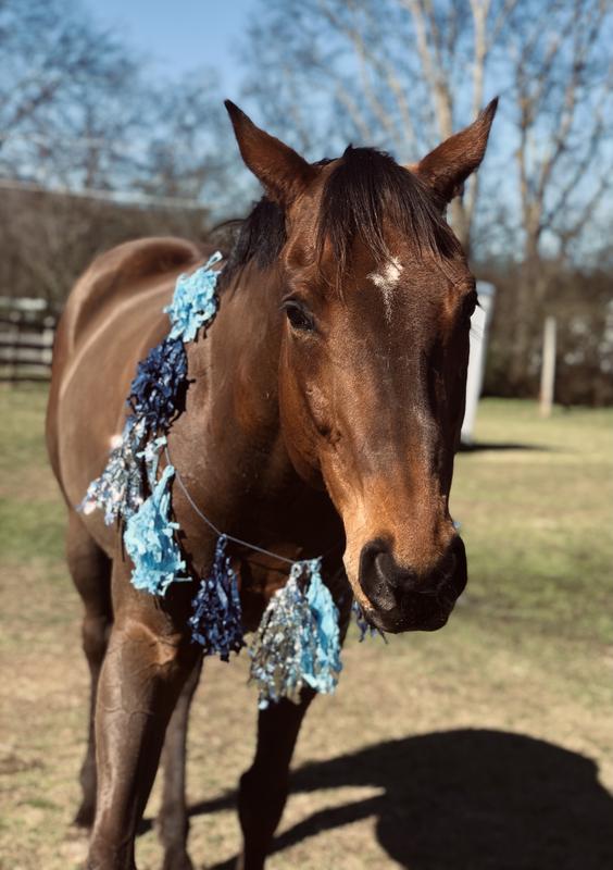 Clean and shiny on his 16th birthday