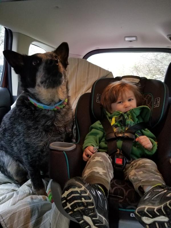 Sage and her master! Thank you for the joint care!