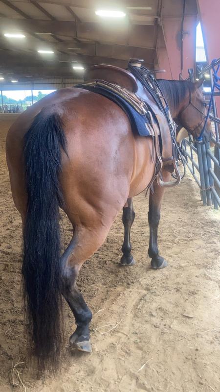 UltraCruz Conditioner Helps Grown Long Lush Tails