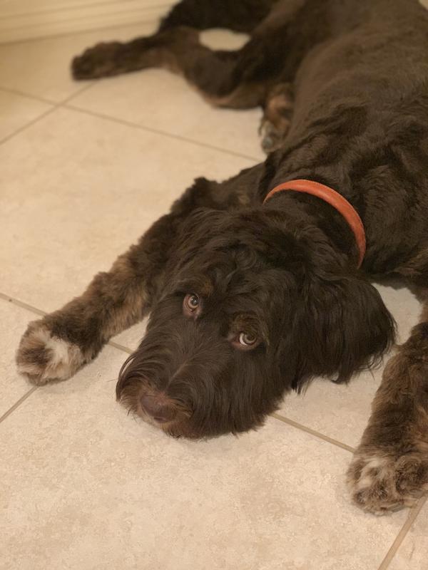 Always giving the side eye