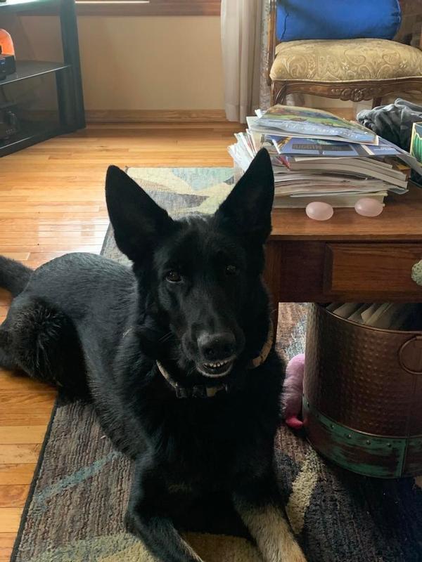 Klaus gets only the best from SCA health.