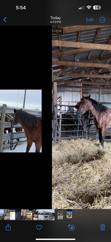 Rocky comparison photo