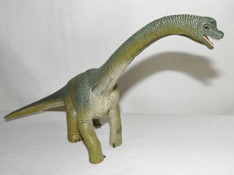 Review Thumbnail Image 0 344996906