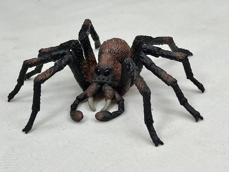 Review Thumbnail Image 0 259852577