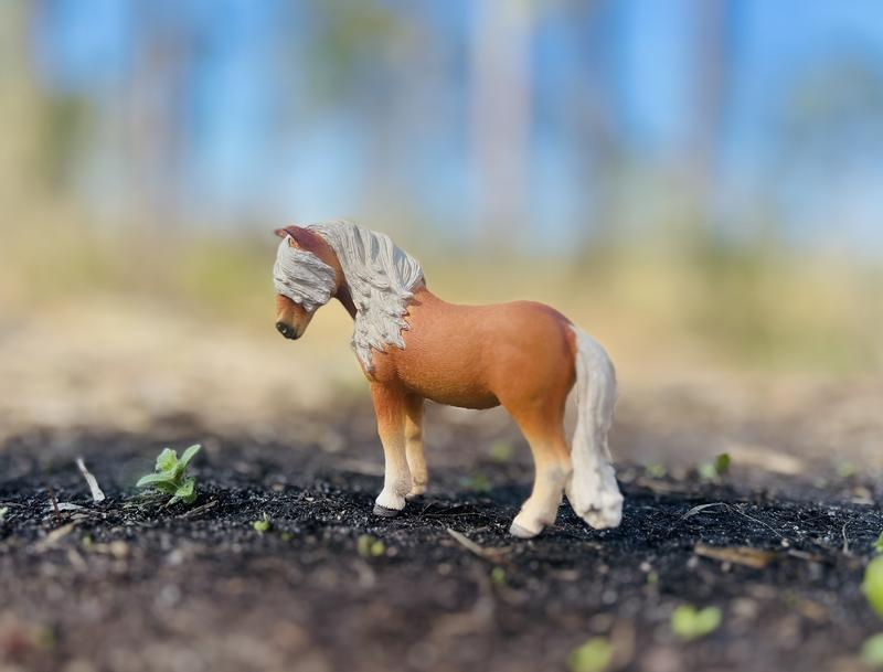 Schleich 41431 Palefrenière Avec Jument Islandaise - Horse Club Coffret 5 Pièces Dès 5 Ans