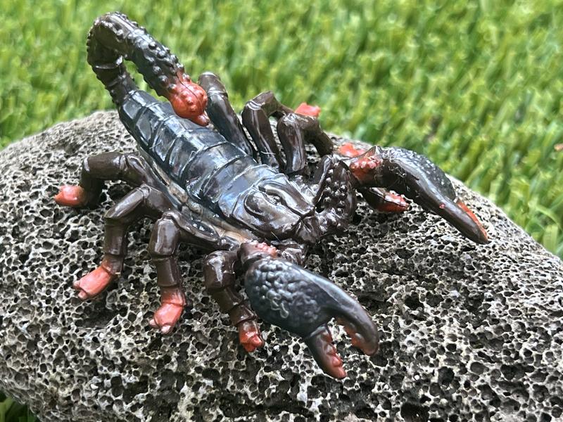 Figurine Scorpion Schleich Wild Life – Détail Réaliste, Jeu Durable Dès 3 Ans