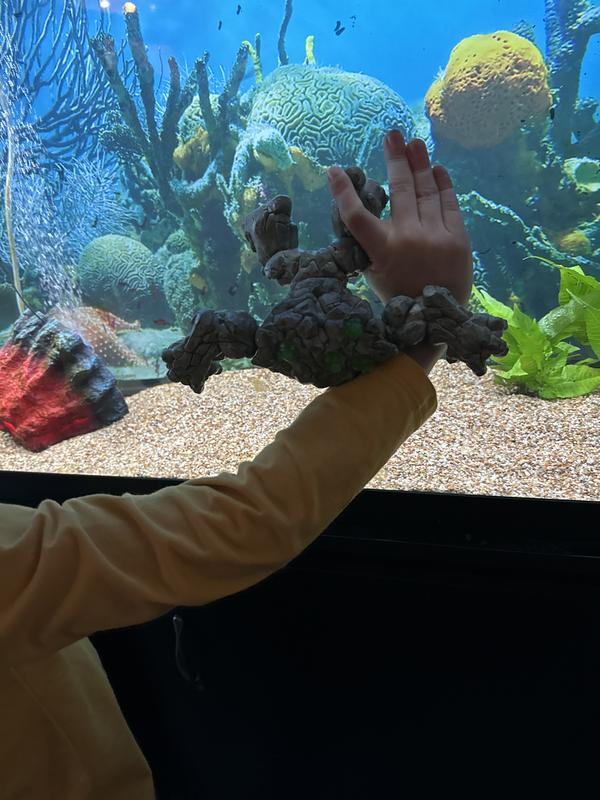 Review Thumbnail Image 0 233518414