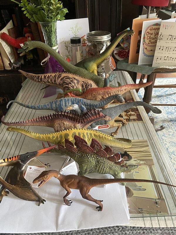 Review Thumbnail Image 0 353195597