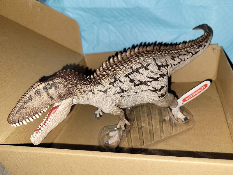 Review Thumbnail Image 0 340289956