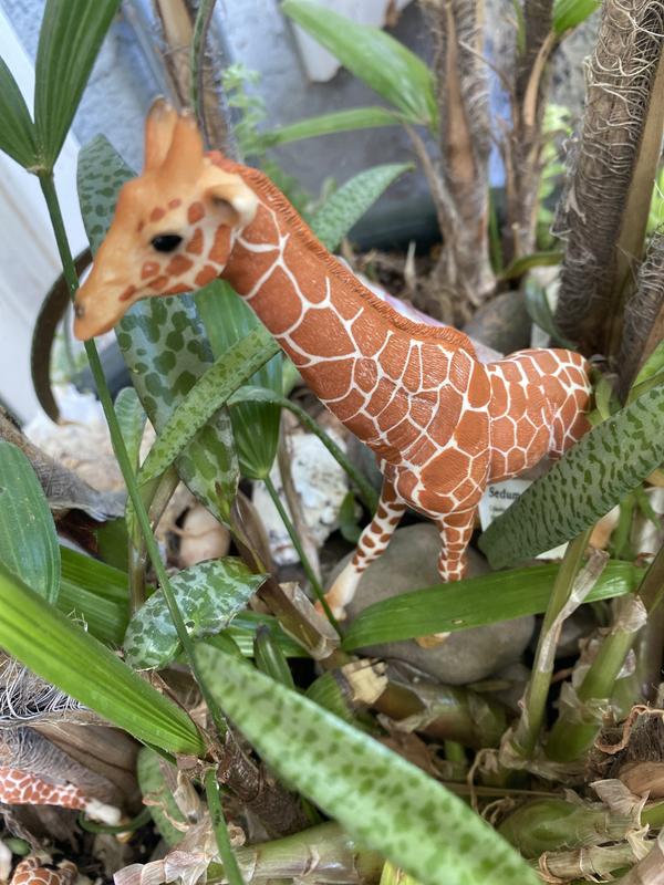 Figurine De Girafe Schleich De 1998 - Modèle Collection Vintage - Occasion