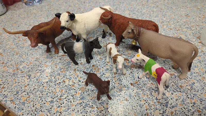 Schleich 13969 FARM WORLD Galloway Calf Figurine For Ages 3 , Black - View #2