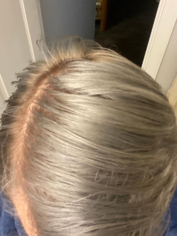 Got2b Metallic Silver Hair Dye Before And After