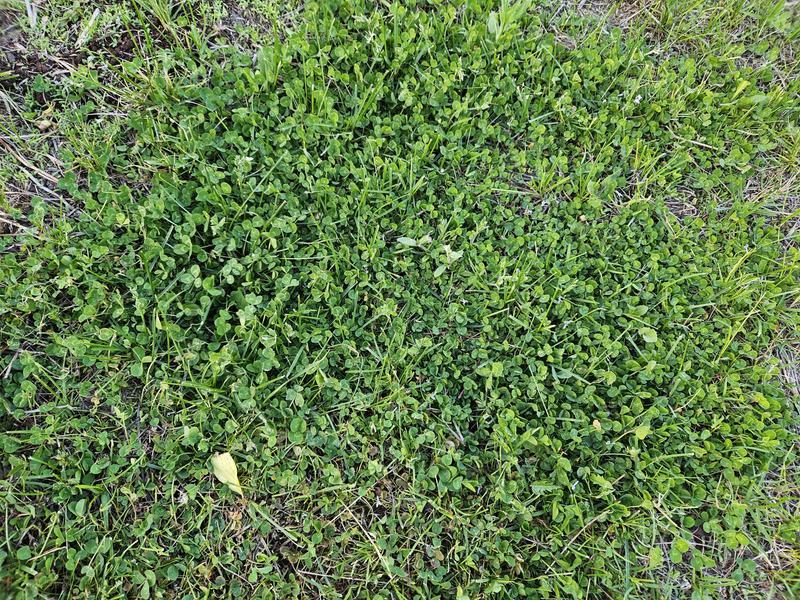 Photo - commentaire&nbsp;1.