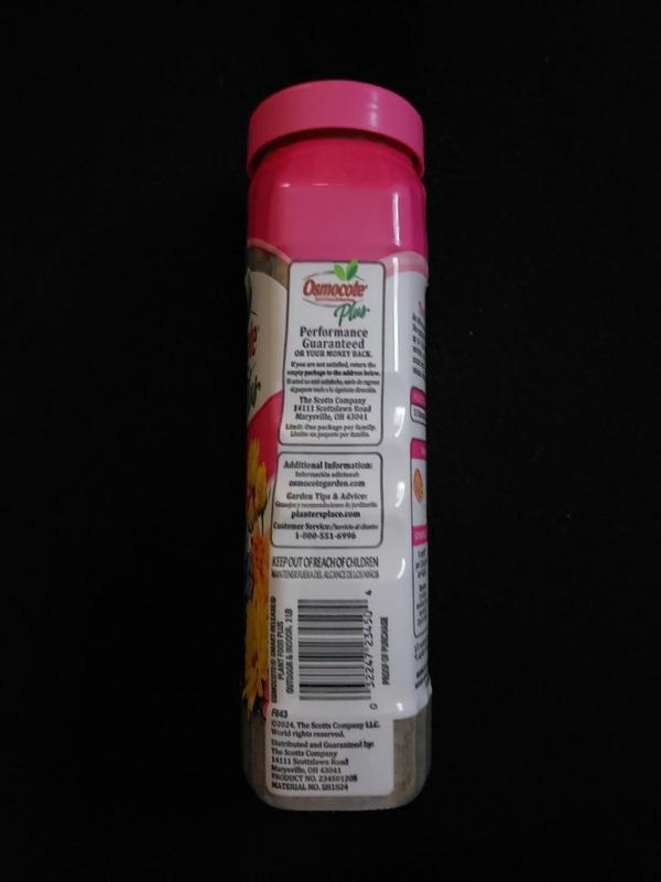 Review photo 7.