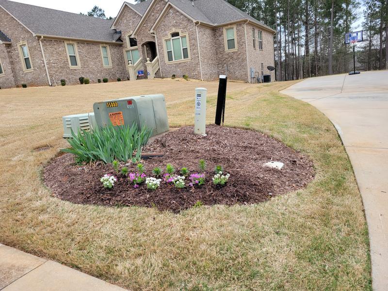 Before Miracle-Gro® Performance Organics