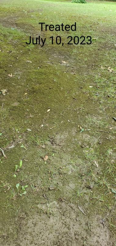 1 month after treated