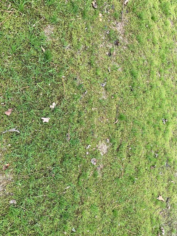 Moss giving Moss Ex the finger!