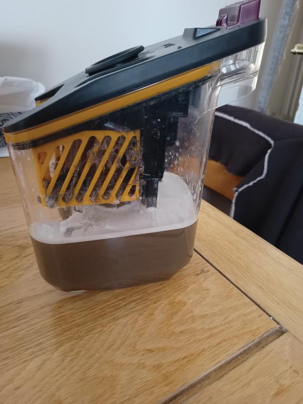 User generated review image 1