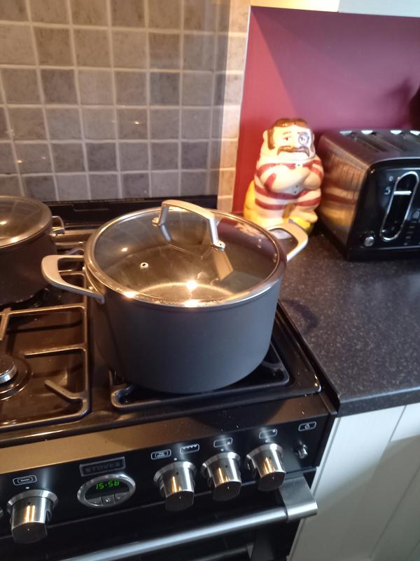 Ninja 26cm Stock Pot with Lid