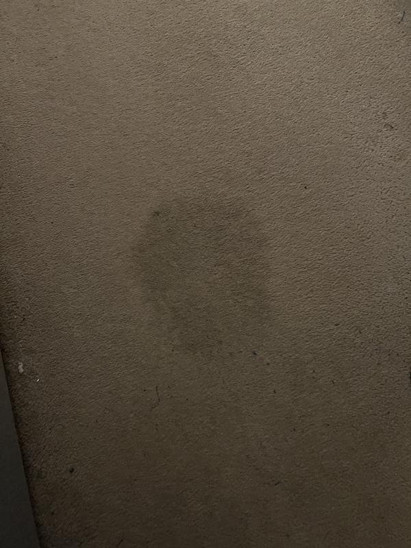 User generated review image 1