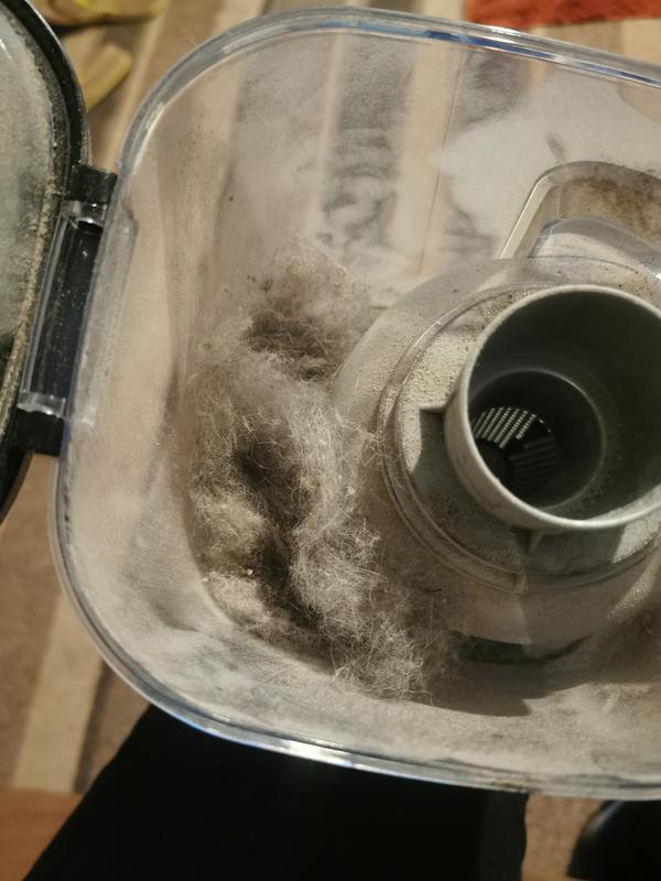 User generated review image 1