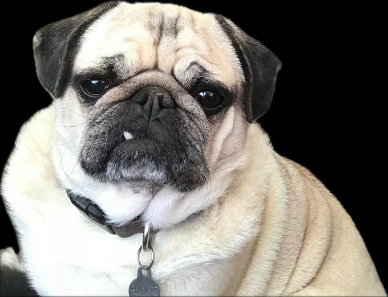 User generated review image 3