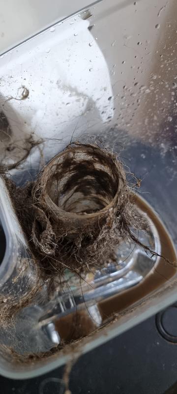 User generated review image 3