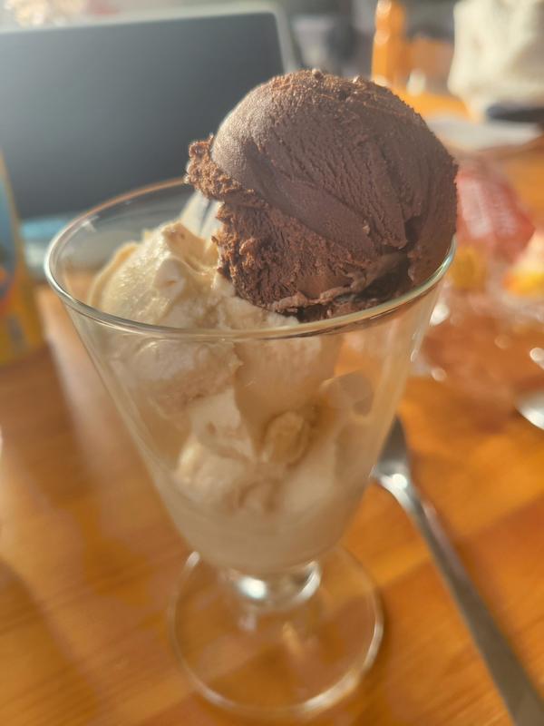 Glace protéinée Ninja CREAMi