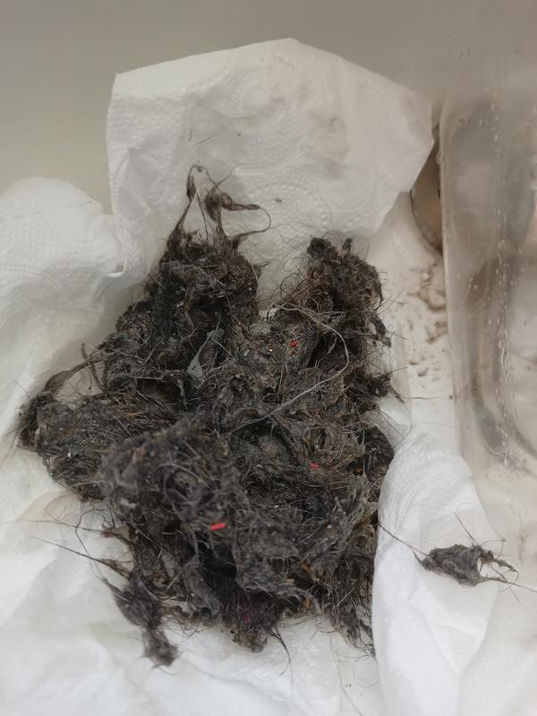 User generated review image 2