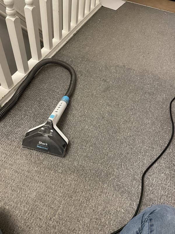 User generated review image 1